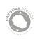 CAPOEIRA RÉUNION !